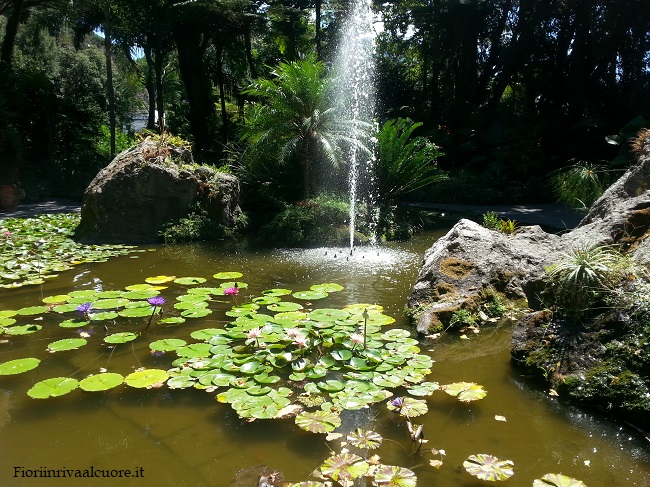I Giardini La Mortella